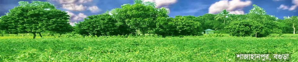 shajahanpur