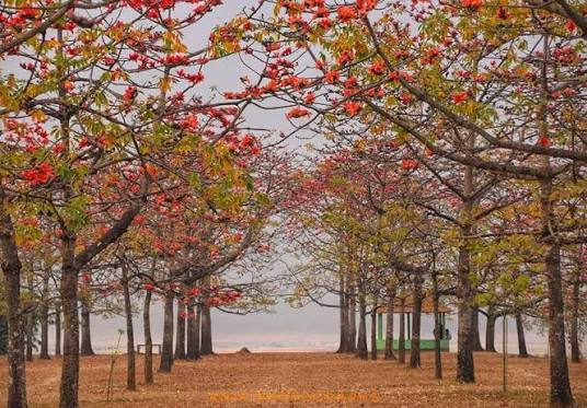 সুনামগঞ্জ