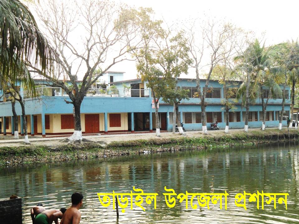 উপজেলা পরিষদ