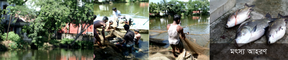 মৎস্য আহরণ