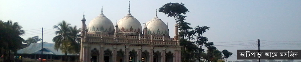 ভাটিপাড়া জামে মসজিদ