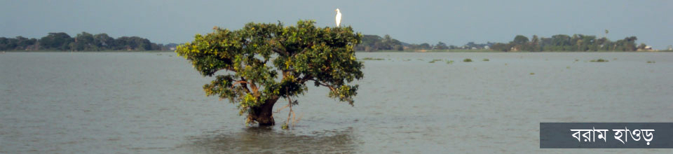 বরাম হাওড়