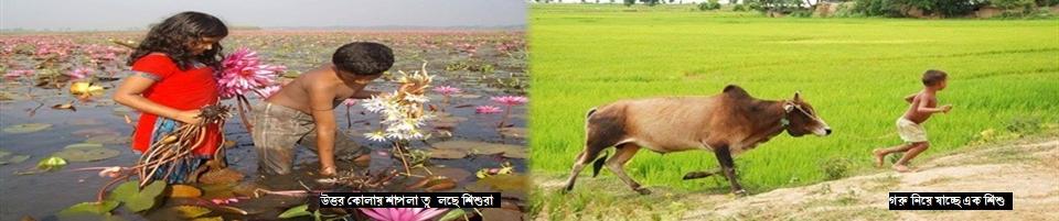 গ্রামের একটি দৃশ্য।
