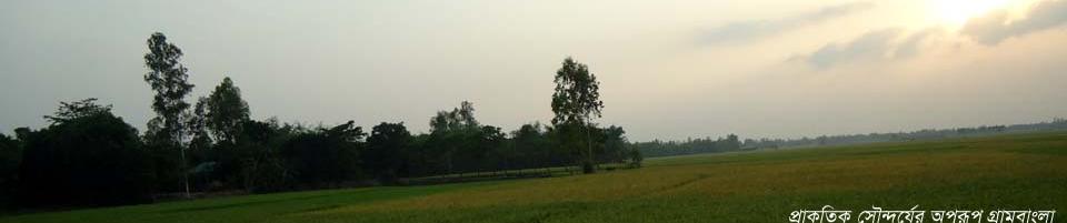 গ্রাম বাংলারঐতিহ্য সোনার দেশ বাংলাদেশ