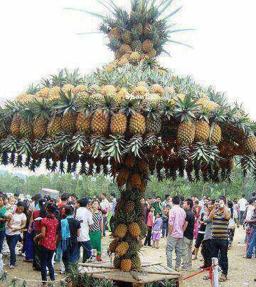 শিক্ষা-সেবা