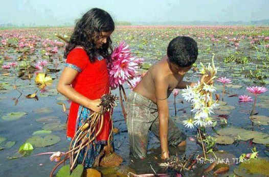 আমাদের সম্পর্কে