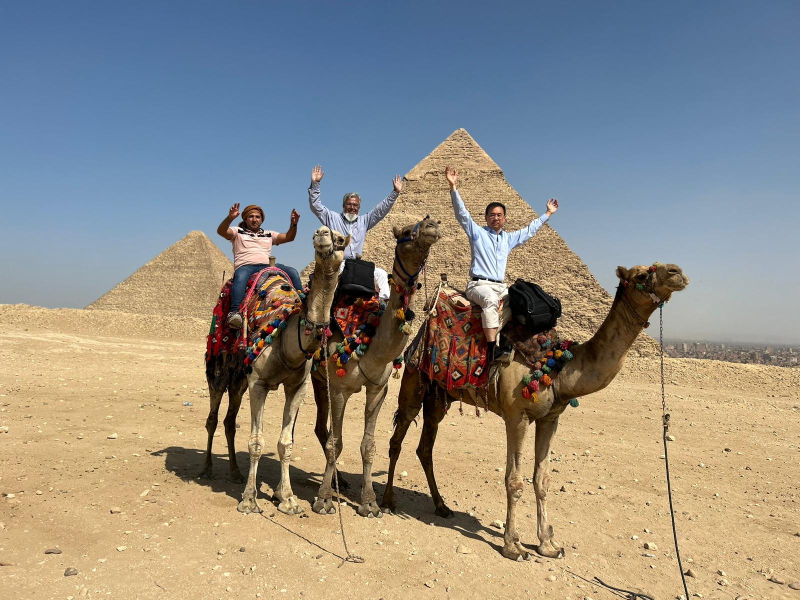 মিশরীয় ঔষধ কর্তৃপক্ষ (EDA) পরিদর্শন