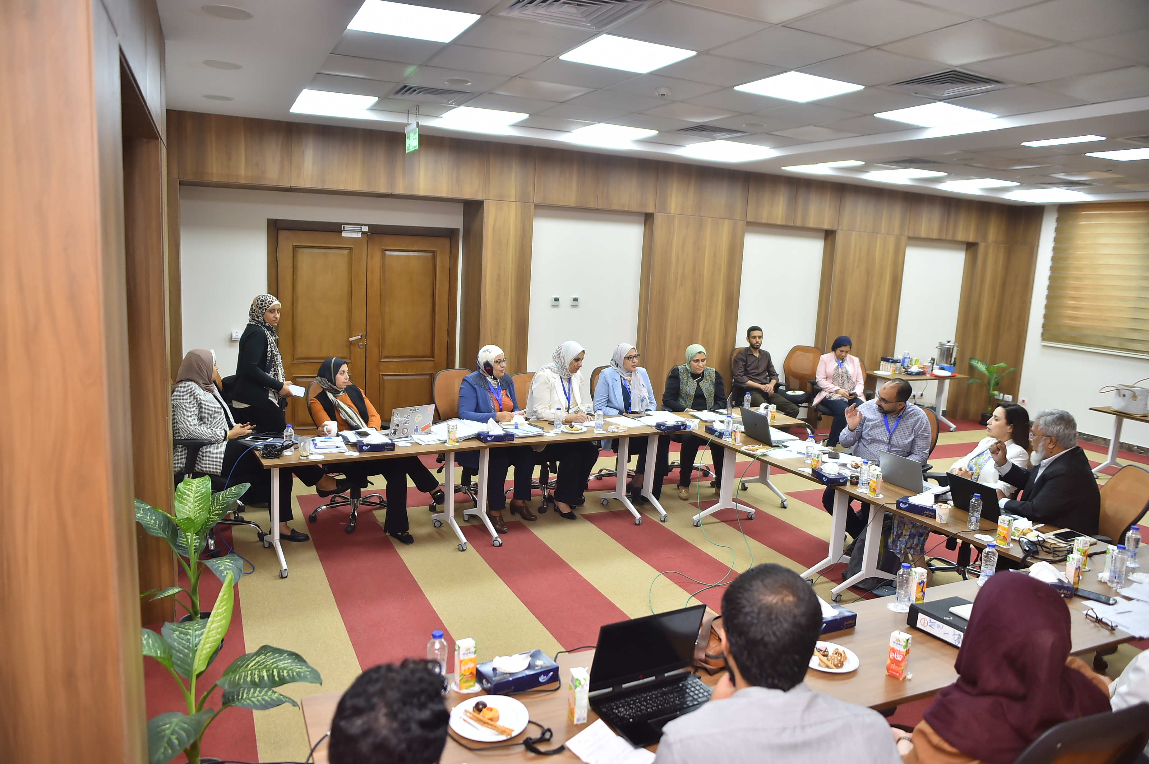 মিশরীয় ঔষধ কর্তৃপক্ষ (EDA) পরিদর্শন