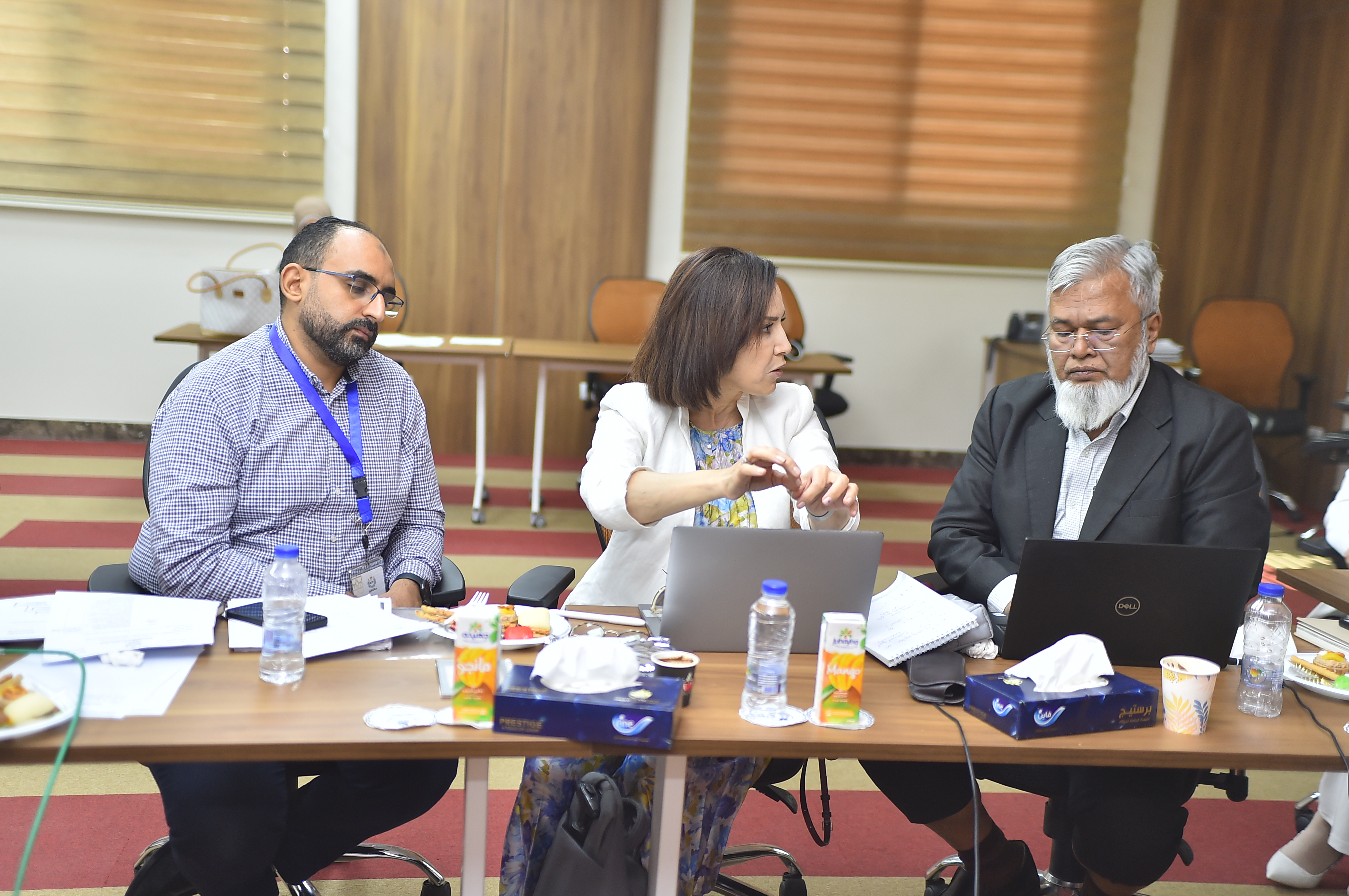 মিশরীয় ঔষধ কর্তৃপক্ষ (EDA) পরিদর্শন