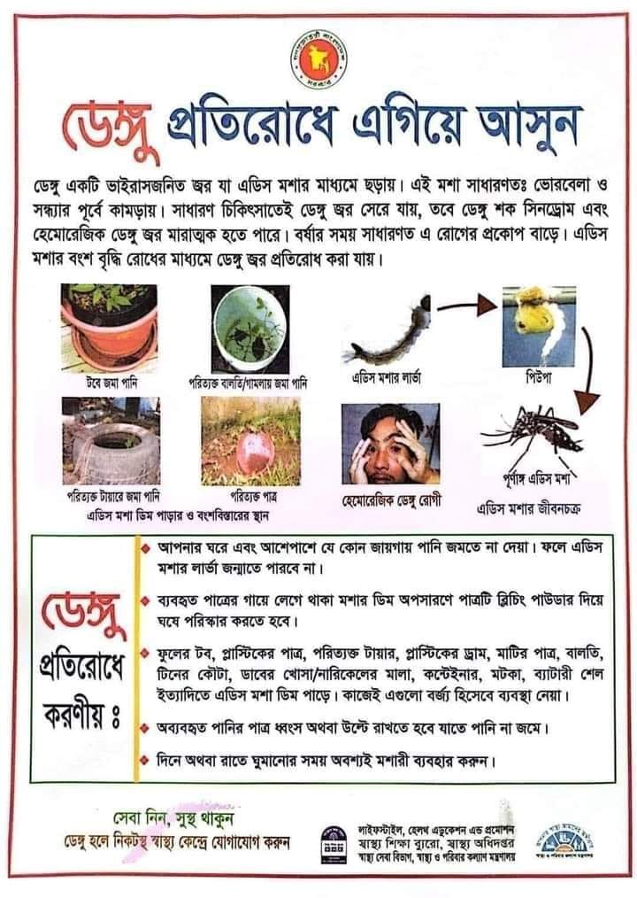 ডেংগু পোস্টার