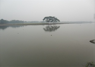 মরা নদীর বিল