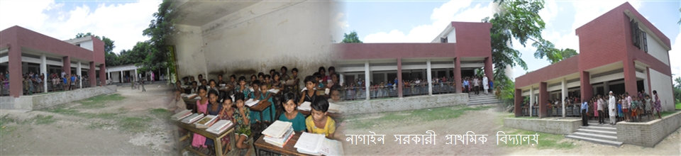 নাগাইন সরকারী প্রাথমিক বিদ্যালয়