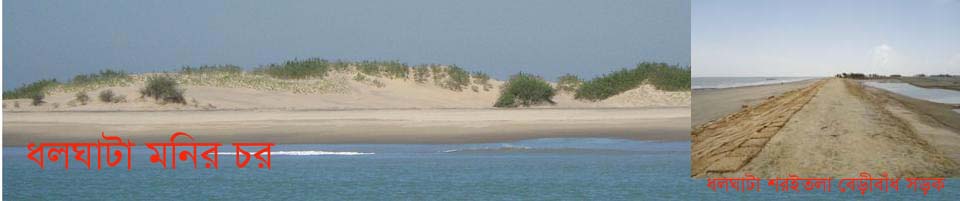 ধলঘাটা মনির চর ও ধলঘাটা শরইতলা বেড়ীবাঁধ সড়ক