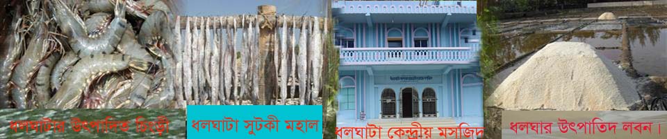 ধলঘাটার অর্থ উপার্জনের উৎস সমূহ।