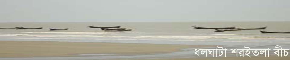 ধলঘাটা সমুদ্র বীচ।