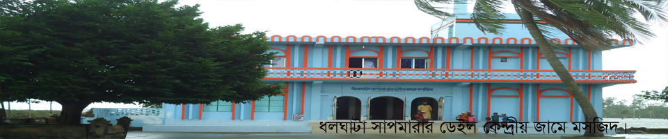 ধলঘাটা সাপমারার ডেইল কেন্দ্রীয় জামে মসজিদ।