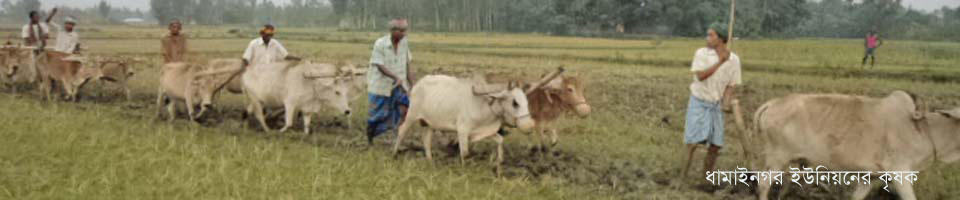 ধামাইনগর ইউনিয়নের কৃষক।