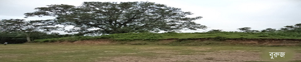 দর্শনীয় স্থান বুরুজ।