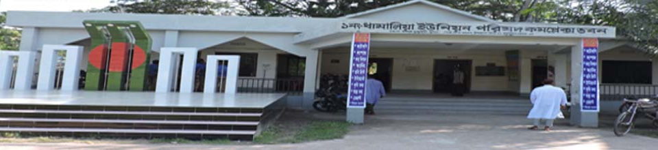 ধামালিয়া ইউপি ভবন