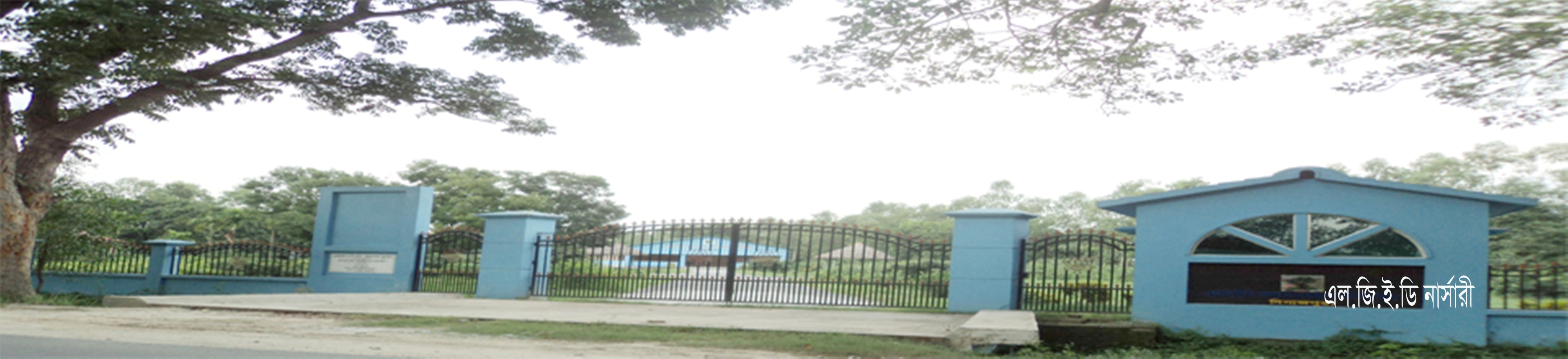 এলজিইডি নার্সারী