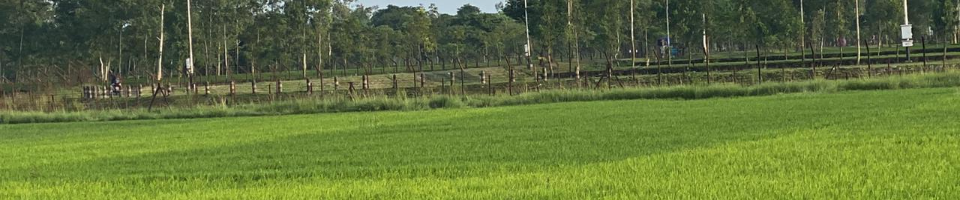 আটোয়ারী উপজেলার প্রাকৃতিক দৃশ্য১