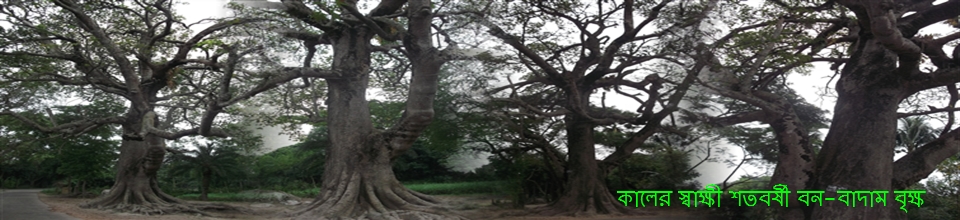 শতবর্ষী বৃক্ষ