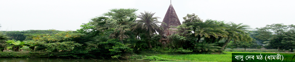 বাসু দেব মঠ (ধামতী)