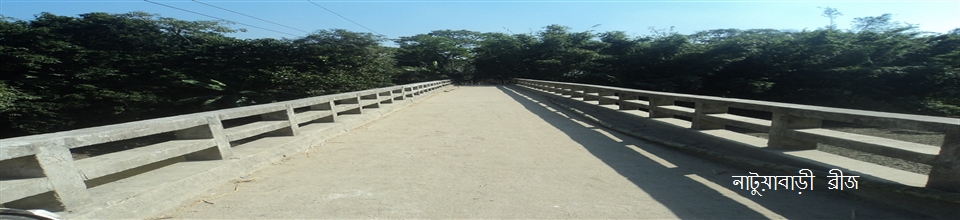 ধামশ্বর ইউনিয়ন