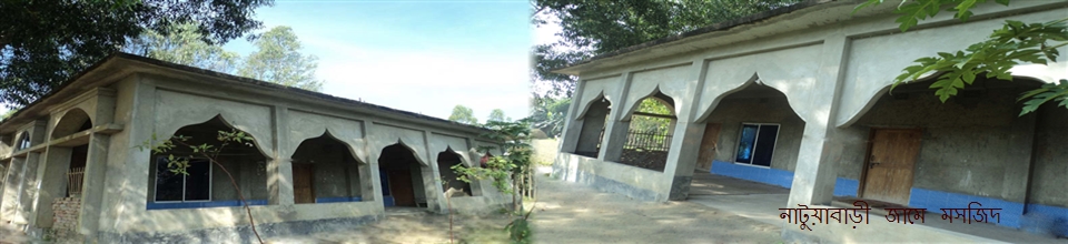 ধামশ্বর ইউনিয়ন