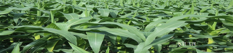 ধামশ্বর ইউনিয়ন