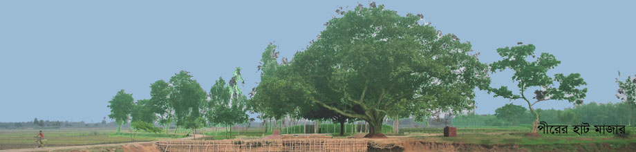 পীরের হাটের মাজার