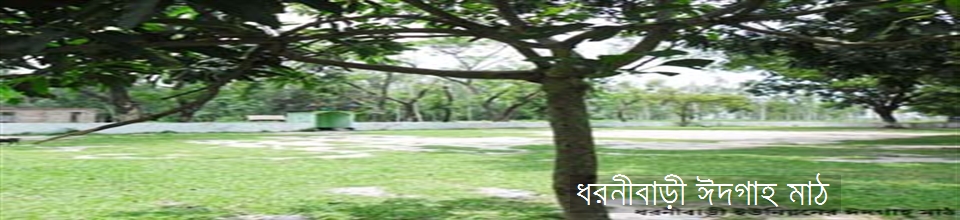 ব্যানার