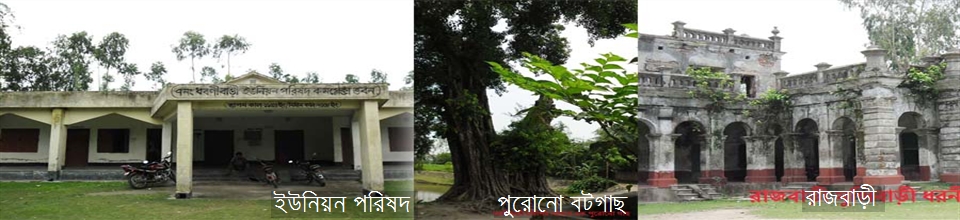 ব্যানার