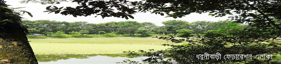 ফেডারেশন এলাকা