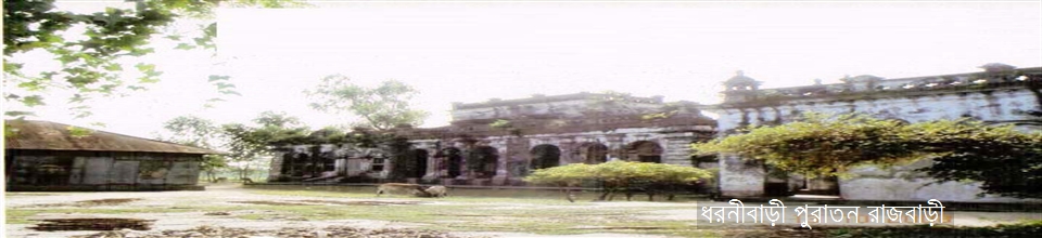 ধরনীবাড়ী পুরাতন রাজবাড়ী