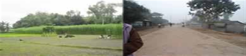 প্রাকৃতিক দৃশ্য