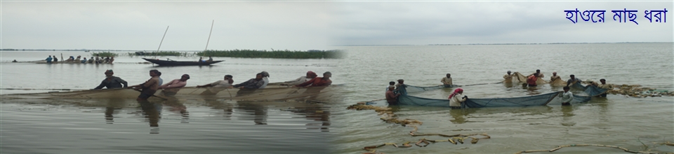 হাওরে মাছ ধরা