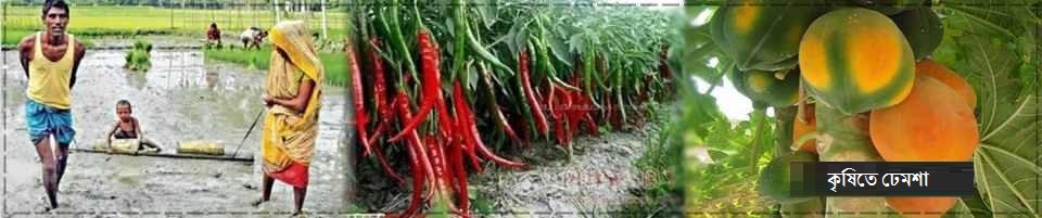 Agricultaral of Dhemsha