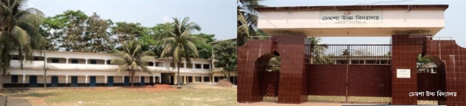Dhemsha School