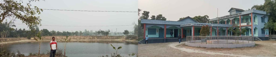 ব্যনার