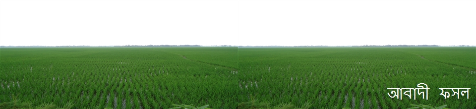 আবাদী ফসল