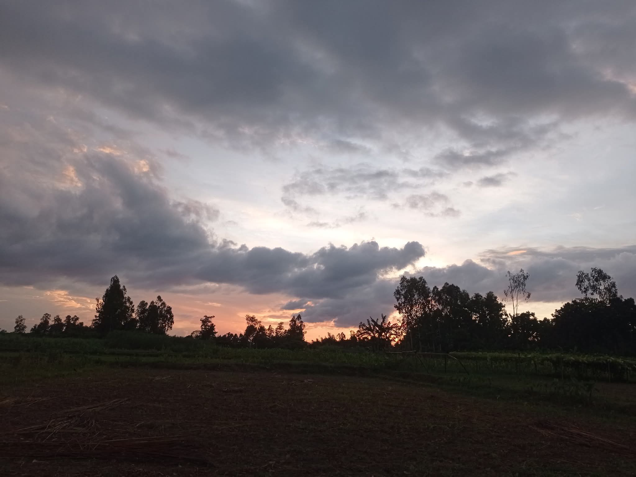 প্রকৃতি
