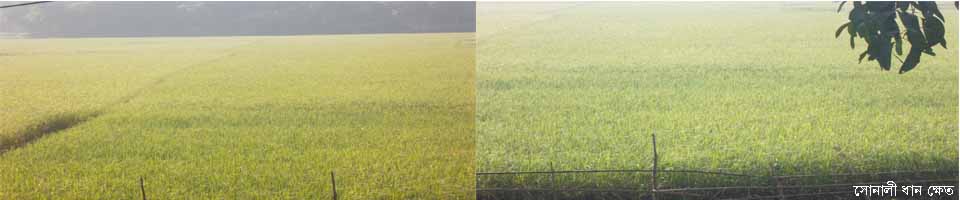 ধোপাকান্দি ইউনিয়ন, গোপালফুর, টাঙ্গাইল।