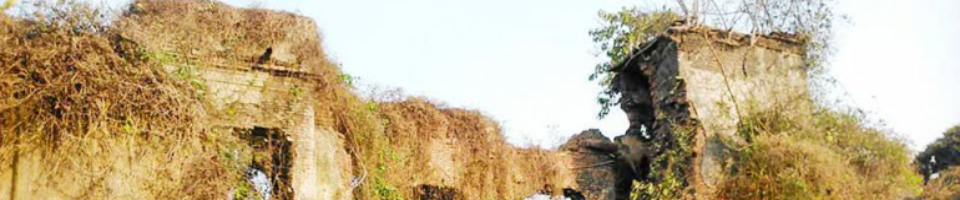 জগদল রাজবাড়ি