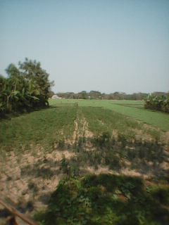 কৃষি ও প্রাণিসম্পদ