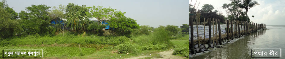 পাট, বাংলাদেশের সোনালী আঁশ