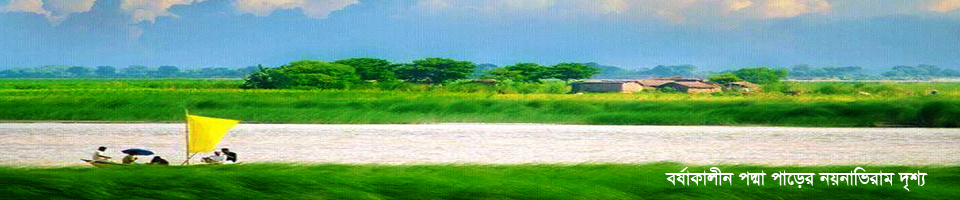 বর্ষা কালের পদ্মা পাড়েরর নয়নাভিরাম দৃশ্য