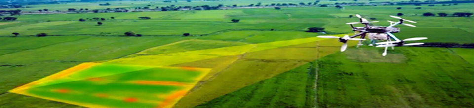 ডিজিটার জরিপ