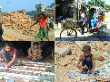 শিশুশ্রম নিরসন