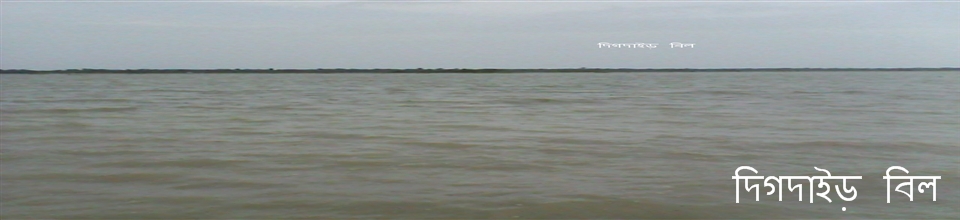 দিগদাইড় বিল
